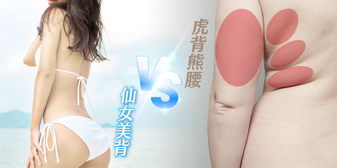 仙女美背VS虎背熊腰