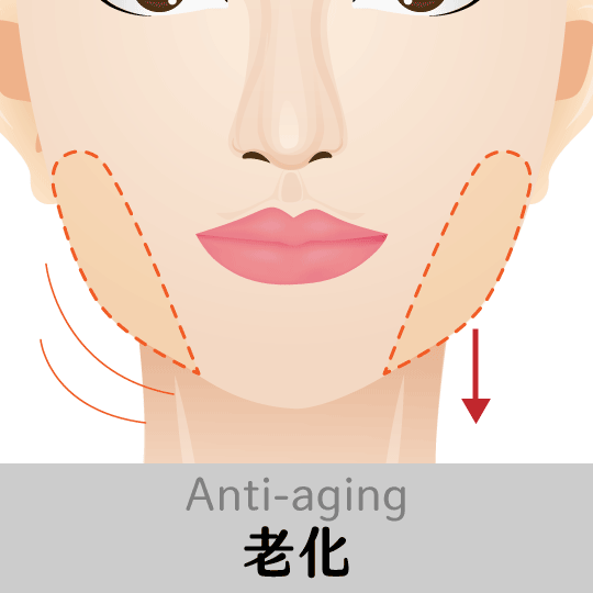 口內取脂前臉部老化現象